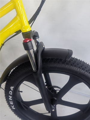 26 pouces de graisse 4.0 pneu 48V 750W 45KM/H 21AH vélo électrique Beach Cruiser avec écran LCD
