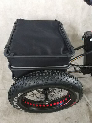 Vitesse maximale 50km/h 8Fun 750W moteur avant 4.0 pneus gros Cargo Trike électrique 3 roues
