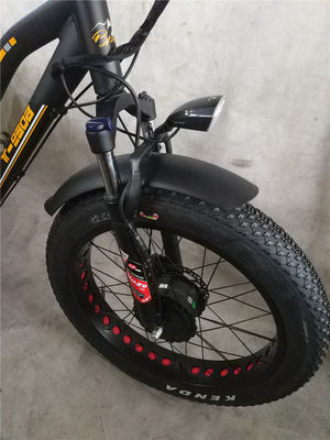 Vitesse maximale 50km/h 8Fun 750W moteur avant 4.0 pneus gros Cargo Trike électrique 3 roues