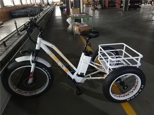 Vitesse maximale 50km/h 8Fun 750W moteur avant 4.0 pneus gros Cargo Trike électrique 3 roues