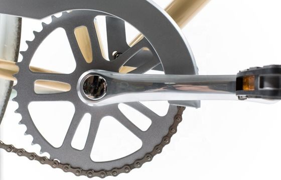 13 KGS 24 pouces Alloy Hub Monoplace Coaster Brake Holland City Bike pour hommes et femmes