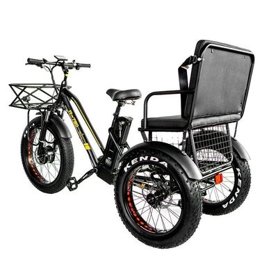 Frein à disque 750W Tricycle électrique de chargement pneu gras 3 roues E Trike pour les voyages de longue distance