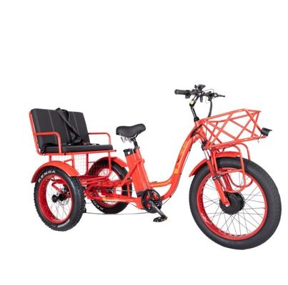 Frein à disque 750W Tricycle électrique de chargement pneu gras 3 roues E Trike pour les voyages de longue distance