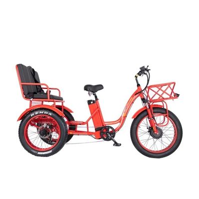 Frein à disque 750W Tricycle électrique de chargement pneu gras 3 roues E Trike pour les voyages de longue distance