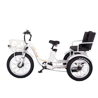 Frein à disque 750W Tricycle électrique de chargement pneu gras 3 roues E Trike pour les voyages de longue distance
