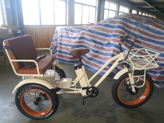 Rickshaw électrique à pneus gras à moteur central de 750 W avec support en aluminium et siège passager
