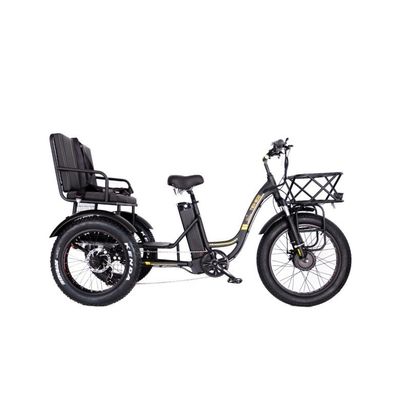 Rickshaw électrique à pneus gras à moteur central de 750 W avec support en aluminium et siège passager