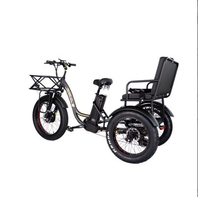 Rickshaw électrique à pneus gras à moteur central de 750 W avec support en aluminium et siège passager