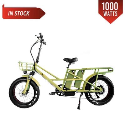 48V électrique à double moteur 1000 watts Longue portée pneus graisseux cargo E-bike avec charge rapide