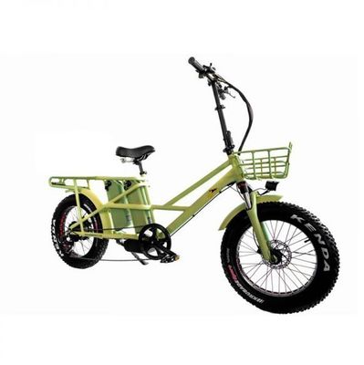 48V électrique à double moteur 1000 watts Longue portée pneus graisseux cargo E-bike avec charge rapide
