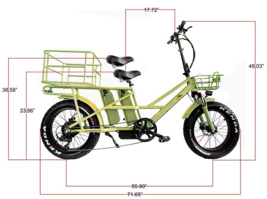 48V électrique à double moteur 1000 watts Longue portée pneus graisseux cargo E-bike avec charge rapide