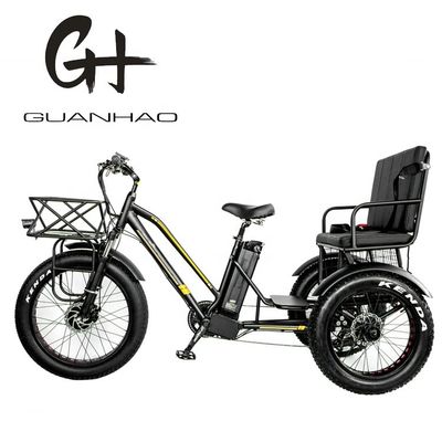 Tubes vers le bas 48V 750W 17AH batterie au lithium 45KM/H bafang Front Motor Tricycle électrique de passagers