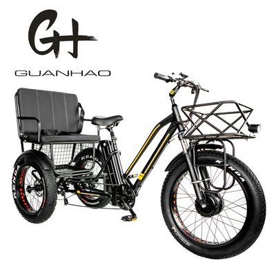 Tubes vers le bas 48V 750W 17AH batterie au lithium 45KM/H bafang Front Motor Tricycle électrique de passagers