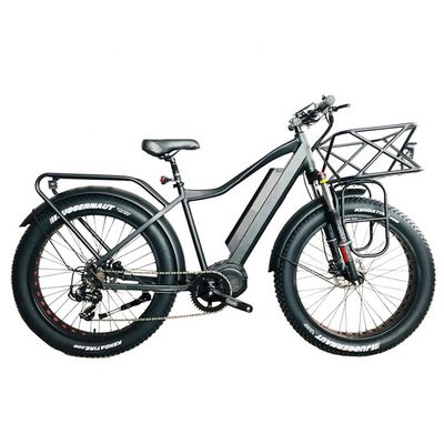 Le marché américain EN15194 CPSC 48V 1000W 17AH Vélo de montagne électrique avec moteur moyen Bafang