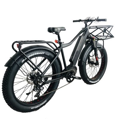 Le marché américain EN15194 CPSC 48V 1000W 17AH Vélo de montagne électrique avec moteur moyen Bafang