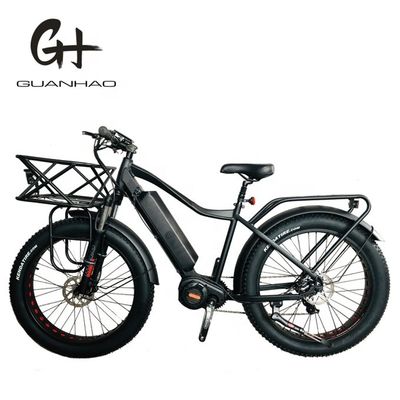 Le marché américain EN15194 CPSC 48V 1000W 17AH Vélo de montagne électrique avec moteur moyen Bafang