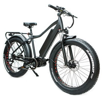 Le marché américain EN15194 CPSC 48V 1000W 17AH Vélo de montagne électrique avec moteur moyen Bafang