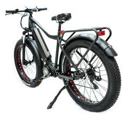 Le marché américain EN15194 CPSC 48V 1000W 17AH Vélo de montagne électrique avec moteur moyen Bafang