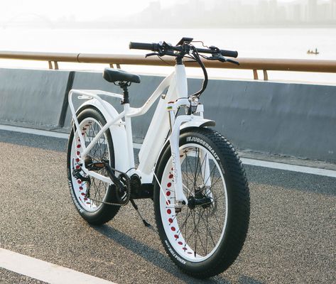 Le marché américain EN15194 CPSC 48V 1000W 17AH Vélo de montagne électrique avec moteur moyen Bafang