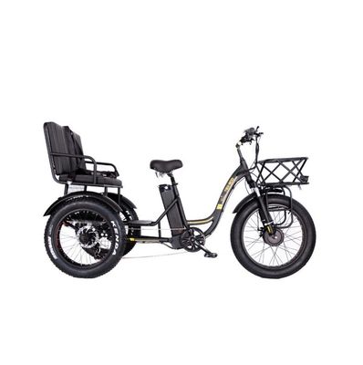 16.7 Ah Capacité de la batterie 750W RICKSHAW électrique tricycle pour le passager