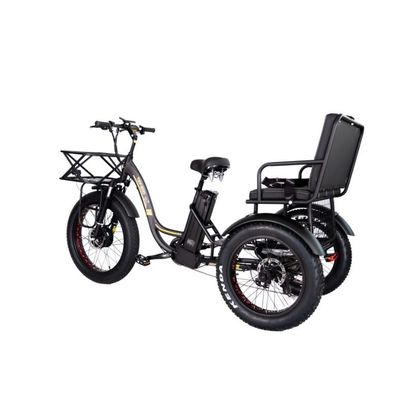 16.7 Ah Capacité de la batterie 750W RICKSHAW électrique tricycle pour le passager
