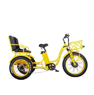 16.7 Ah Capacité de la batterie 750W RICKSHAW électrique tricycle pour le passager