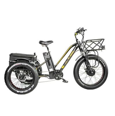 16.7 Ah Capacité de la batterie 750W RICKSHAW électrique tricycle pour le passager