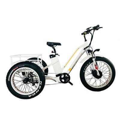 48V 14AH panier arrière 4.0 pneu de neige tricycle électrique cargo avec certification CE USA