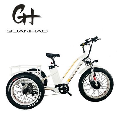 48V 14AH panier arrière 4.0 pneu de neige tricycle électrique cargo avec certification CE USA