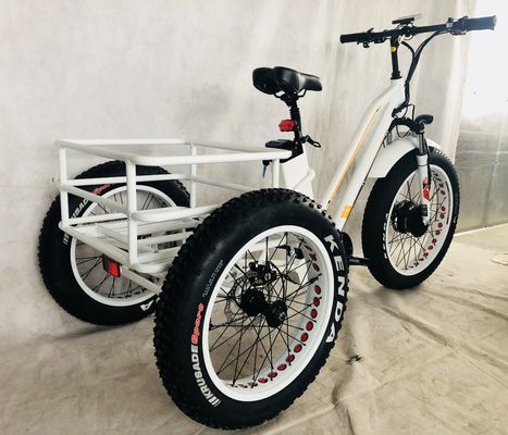 48V 14AH panier arrière 4.0 pneu de neige tricycle électrique cargo avec certification CE USA