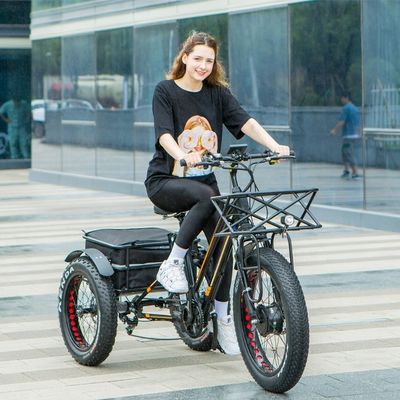 48V 14AH panier arrière 4.0 pneu de neige tricycle électrique cargo avec certification CE USA