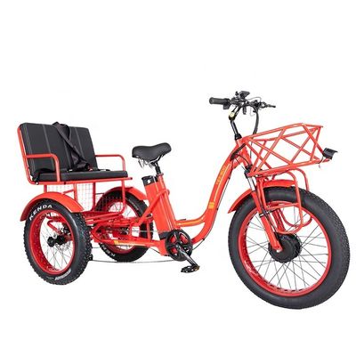 50-70 km Distance de conduite 48V 1000W 50KM/H 3 roues Tricycle électrique pour passagers et fret