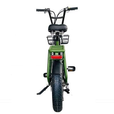 20 &quot; 48V 34AH batterie au lithium 1000W 50KM/H Cadre en aluminium 7 vitesses Cargo électrique double batterie hybride Fat Snow Tire 4.0 Vélo