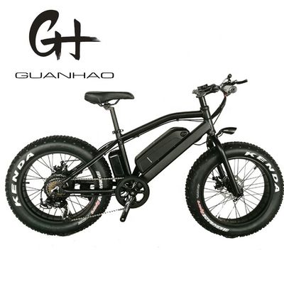 20 pouces en alliage d'aluminium Cadre Boy Mini 48V 4.0 USA CE 750W enfant vélo électrique de montagne