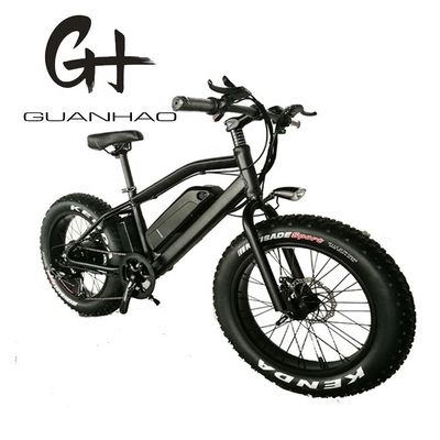 20 pouces en alliage d'aluminium Cadre Boy Mini 48V 4.0 USA CE 750W enfant vélo électrique de montagne