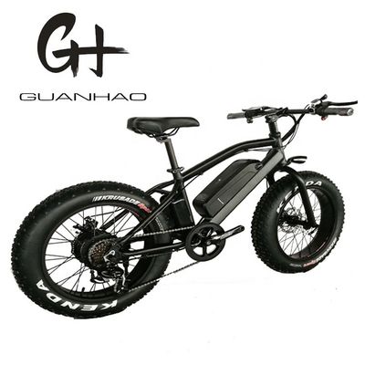 20 pouces en alliage d'aluminium Cadre Boy Mini 48V 4.0 USA CE 750W enfant vélo électrique de montagne