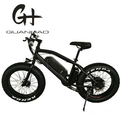 20 pouces en alliage d'aluminium Cadre Boy Mini 48V 4.0 USA CE 750W enfant vélo électrique de montagne