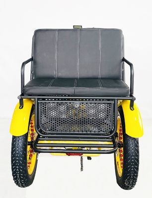 US Fat Tire Tricycle électrique pour passagers avec moteur Bafang de 1000W et pédale en aluminium