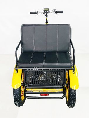 US Fat Tire Tricycle électrique pour passagers avec moteur Bafang de 1000W et pédale en aluminium