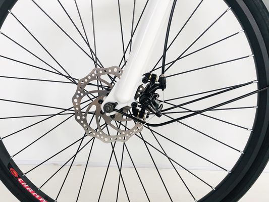 Vélo de ville de 28 pouces 36V250W batterie au lithium 14AH EN15194 EN15194 pour femmes Lady USA Europe