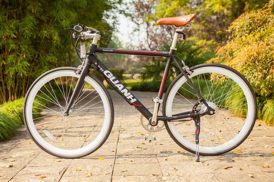 Vélo électrique en aluminium 700C CE EN15194 Certifié 36V 350W Moteur 10,8AH Batterie au lithium cachée