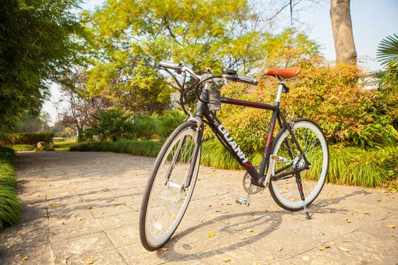 Vélo électrique en aluminium 700C CE EN15194 Certifié 36V 350W Moteur 10,8AH Batterie au lithium cachée