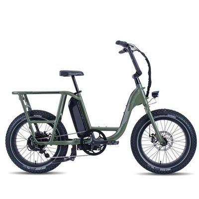 48V 1000W 32MPH vélo électrique hybride cargo avec 20 &quot;4.0 pneu gras et couple de 80-90 Nm