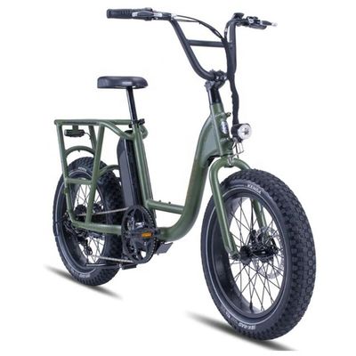 48V 1000W 32MPH vélo électrique hybride cargo avec 20 &quot;4.0 pneu gras et couple de 80-90 Nm