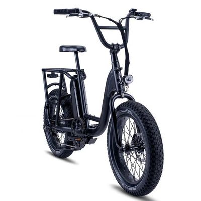 48V 1000W 32MPH vélo électrique hybride cargo avec 20 &quot;4.0 pneu gras et couple de 80-90 Nm