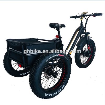 Marché américain BAFANG Sensor Tricycles électriques à trois roues et frein à disque hydraulique