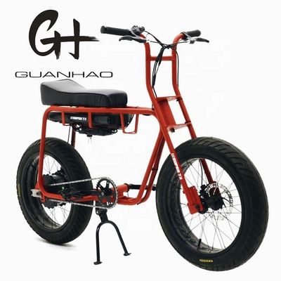 Frénésie à disque 20 pouces 750w 1000w batterie double pneu électrique gras Vintage Vélo de montagne 2 sièges Beach Cruiser Max 50KM/H vélo électrique