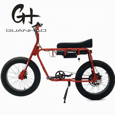 Frénésie à disque 20 pouces 750w 1000w batterie double pneu électrique gras Vintage Vélo de montagne 2 sièges Beach Cruiser Max 50KM/H vélo électrique