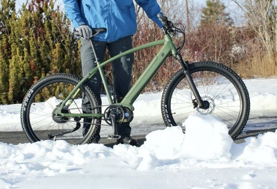 36V 350W EN15194 2007 Vélo électrique à vitesse unique avec batterie au lithium de 10,41AH et PAS