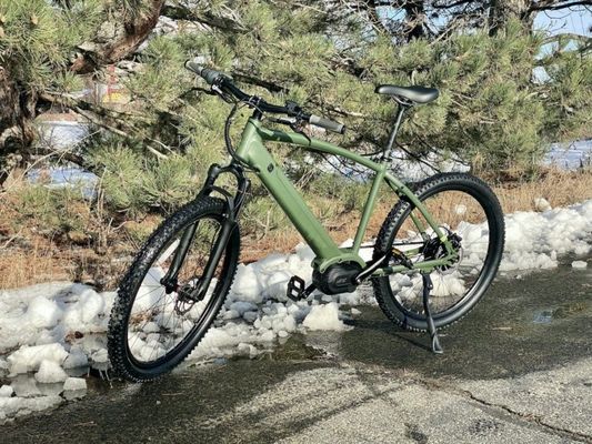 36V 350W EN15194 2007 Vélo électrique à vitesse unique avec batterie au lithium de 10,41AH et PAS